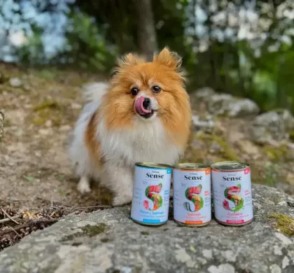 Comida Húmeda para Perros: Natural, Sabrosa y Saludable