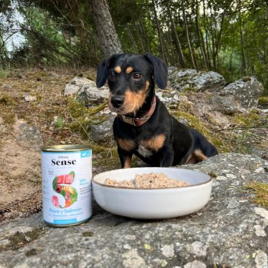 Guía Completa de Alimentación Natural para Perros