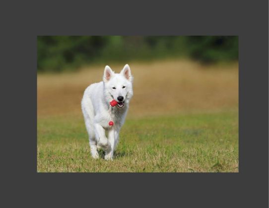 Descuentos en Black Friday