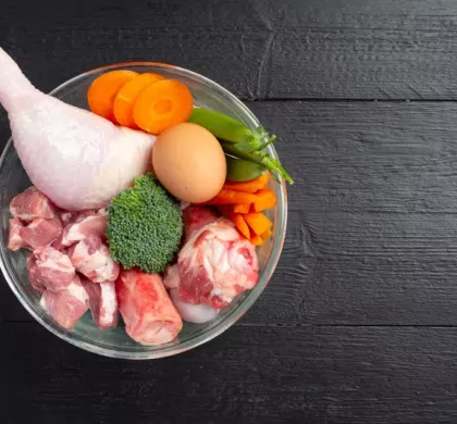 ¿Qué ingredientes debe tener una buena comida húmeda para perros?