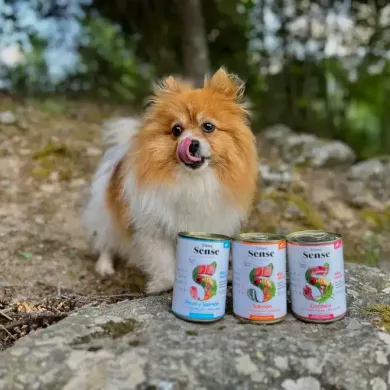 Comida Húmeda para Perros: Natural, Sabrosa y Saludable