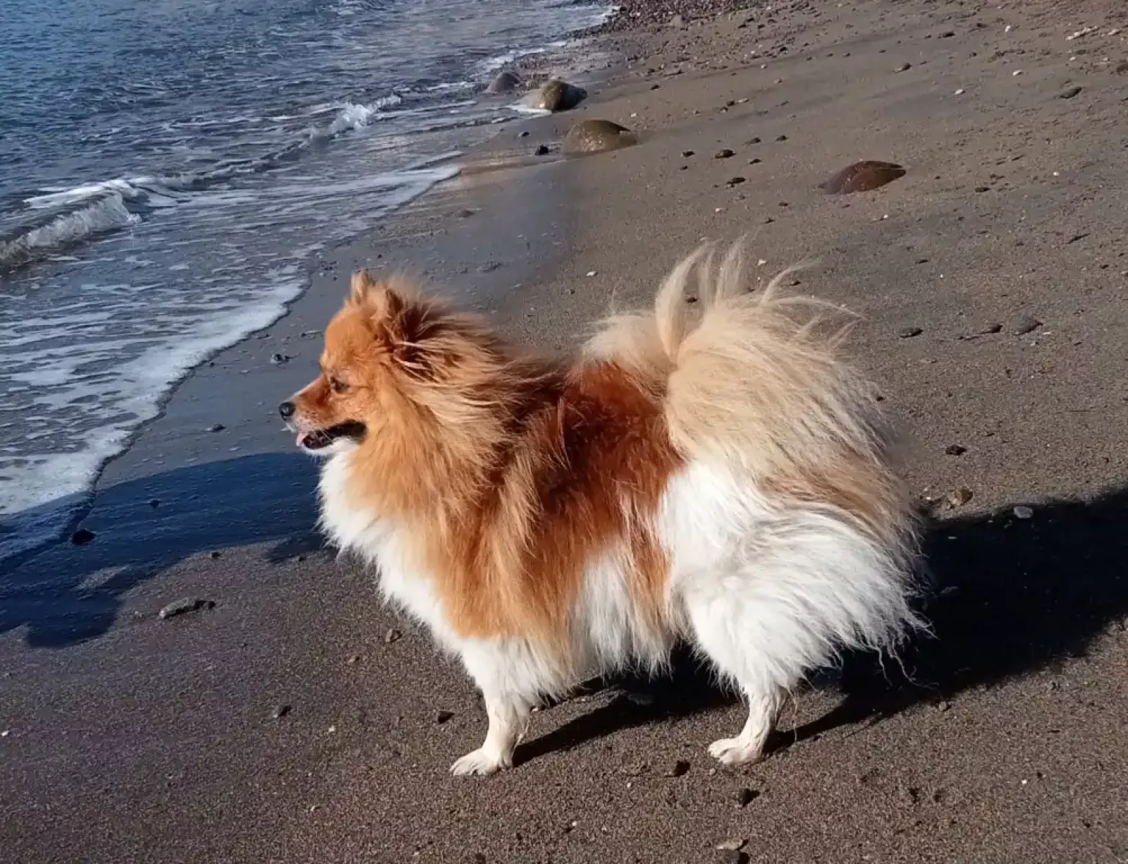 Tabit en la playa