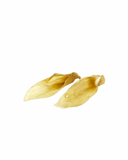 Oreja de Cordero  Mr Bones (3 uds) - Snack Natural para Perros - Imagen 2