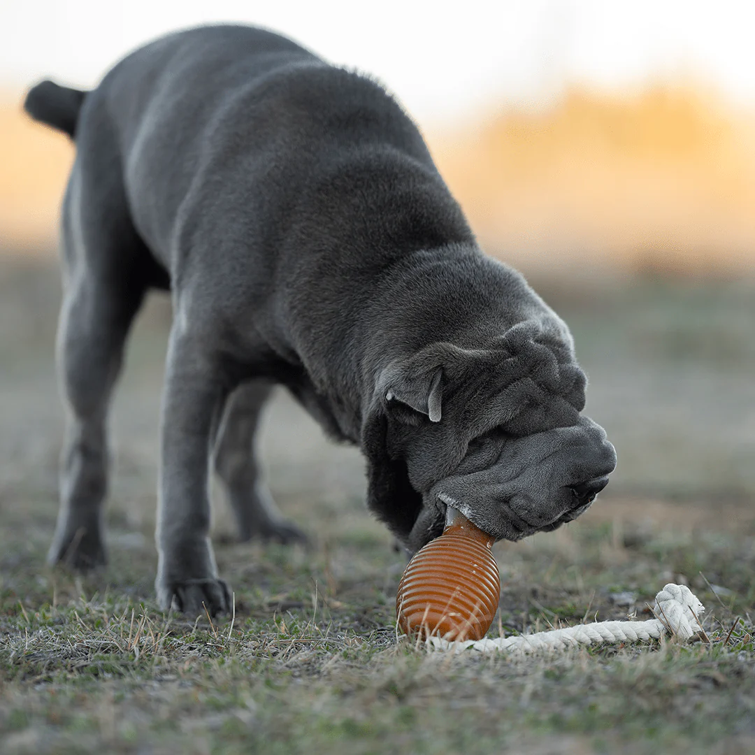 Retorn Rub Bouncy with Rope 2 Retorn Rub Bouncy with Rope - Imagen 2