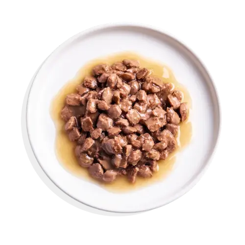 Edgard & Cooper Lata de Salmón y Pollo 2 Edgard & Cooper Lata de Salmón y Pollo - Imagen 2