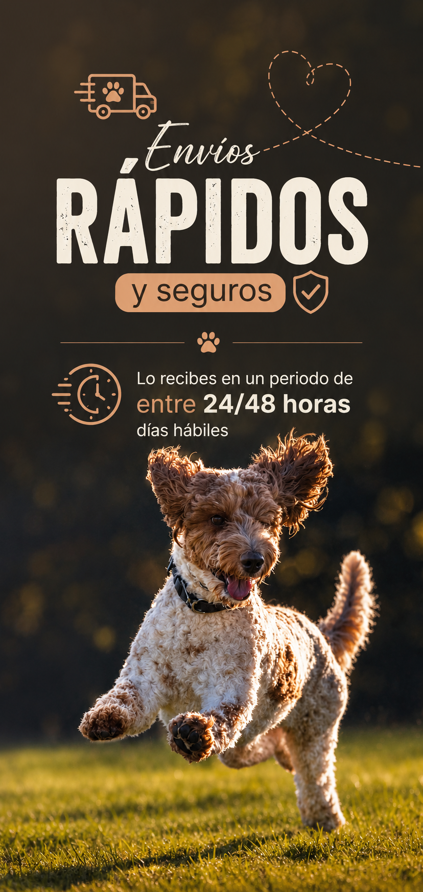 Comida para perros - Version movil envio rapido y seguro