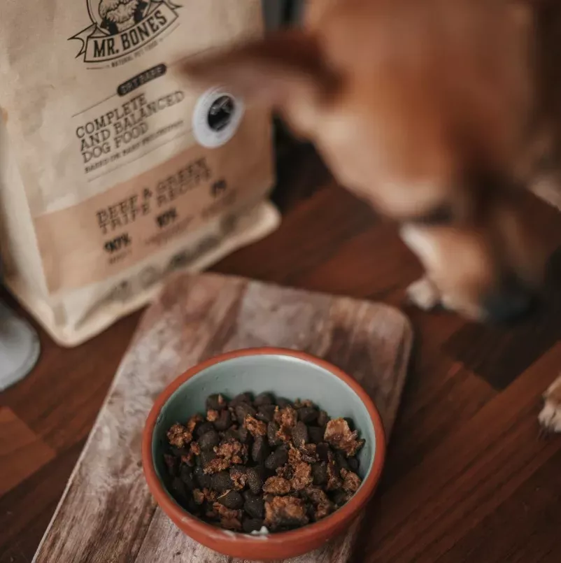 Comida seca para perros