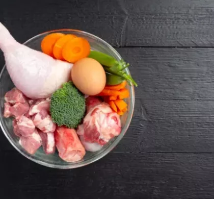 Dieta BARF para Perros