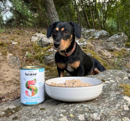 Guía Completa de Alimentación Natural para Perros