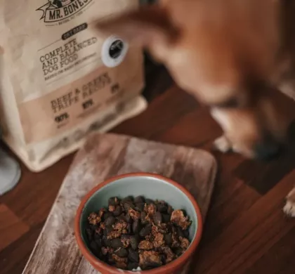 ¿Qué es la comida secada al aire para perros y por qué es una excelente opción para su salud?