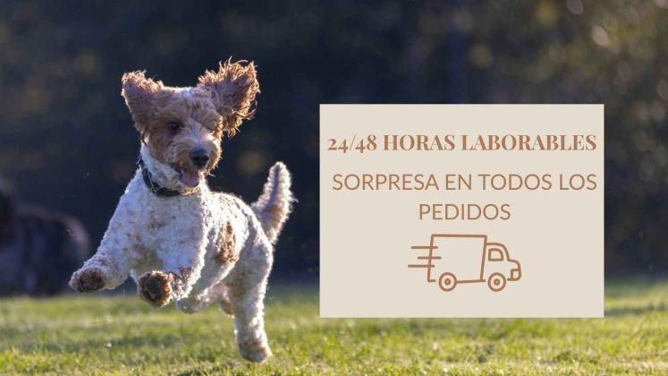 Comida para perros 2 Comida para perros - 2