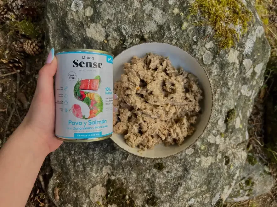 Beneficios de la comida húmeda