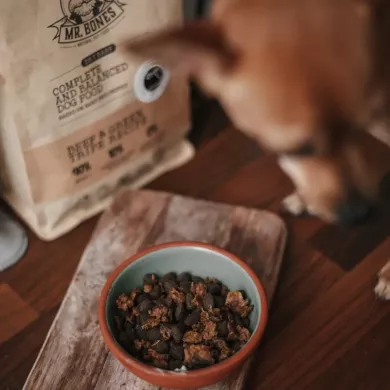 ¿Qué es la comida secada al aire para perros y por qué es una excelente opción para su salud?