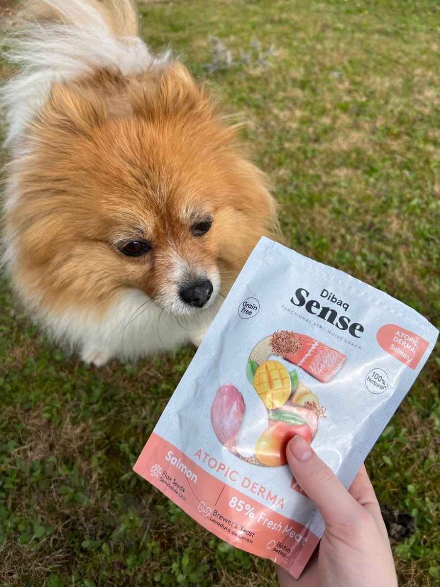 Comida para perros - lady