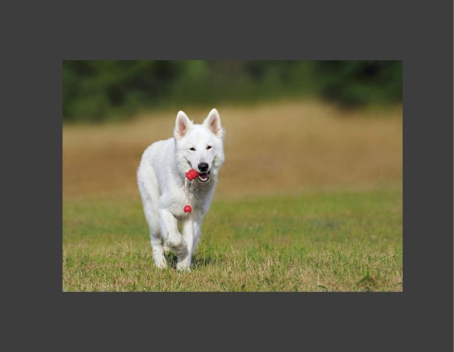 Descuentos en Black Friday