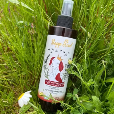 Guía Completa de Antiparasitarios para Perros: Protegiendo la Salud de Tu Mascota