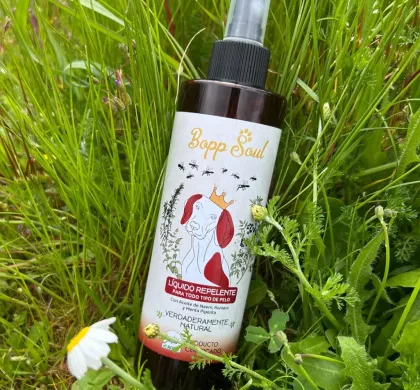 Guía Completa de Antiparasitarios para Perros: Protegiendo la Salud de Tu Mascota