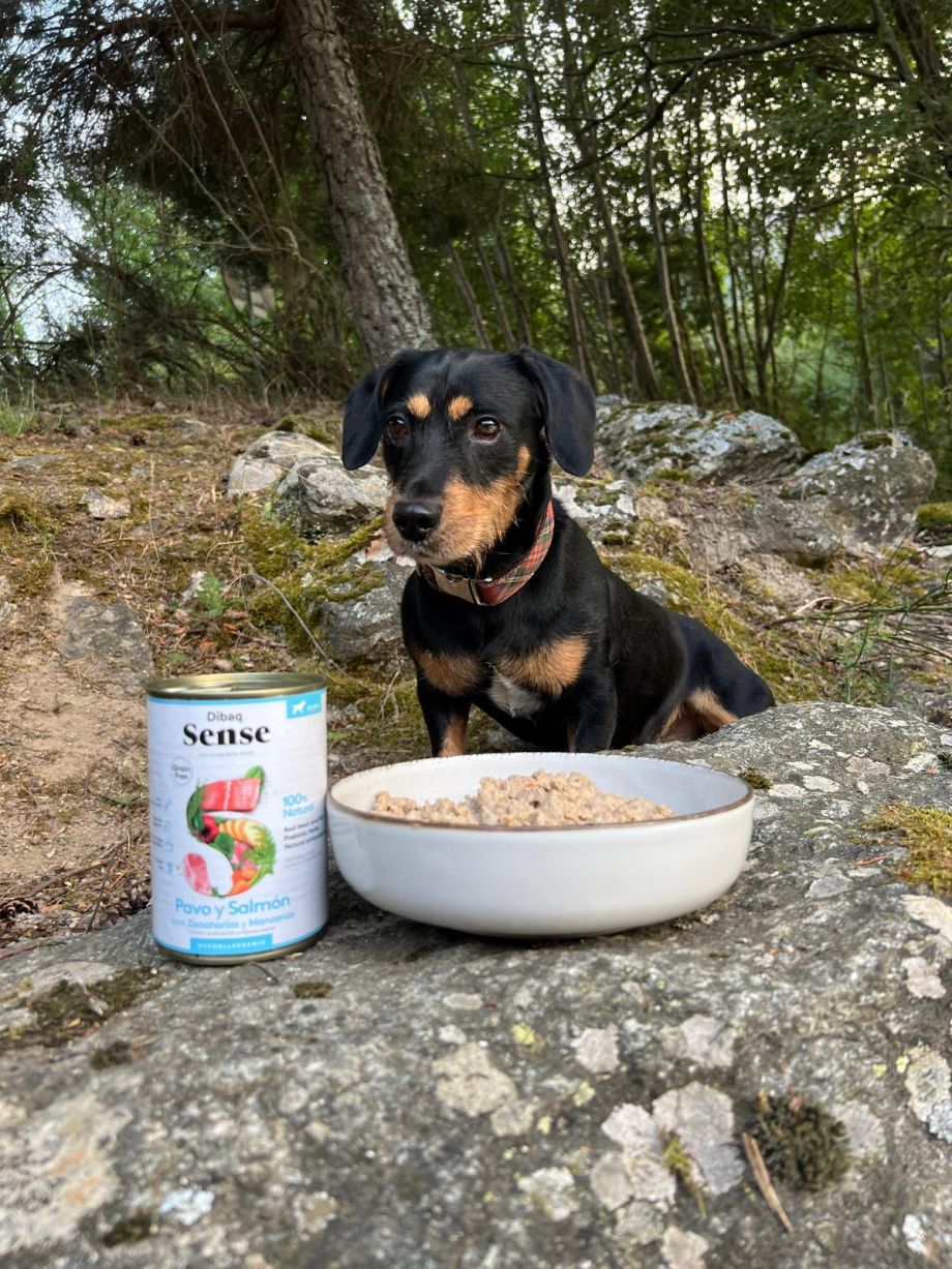 Alimentación Natural para perros