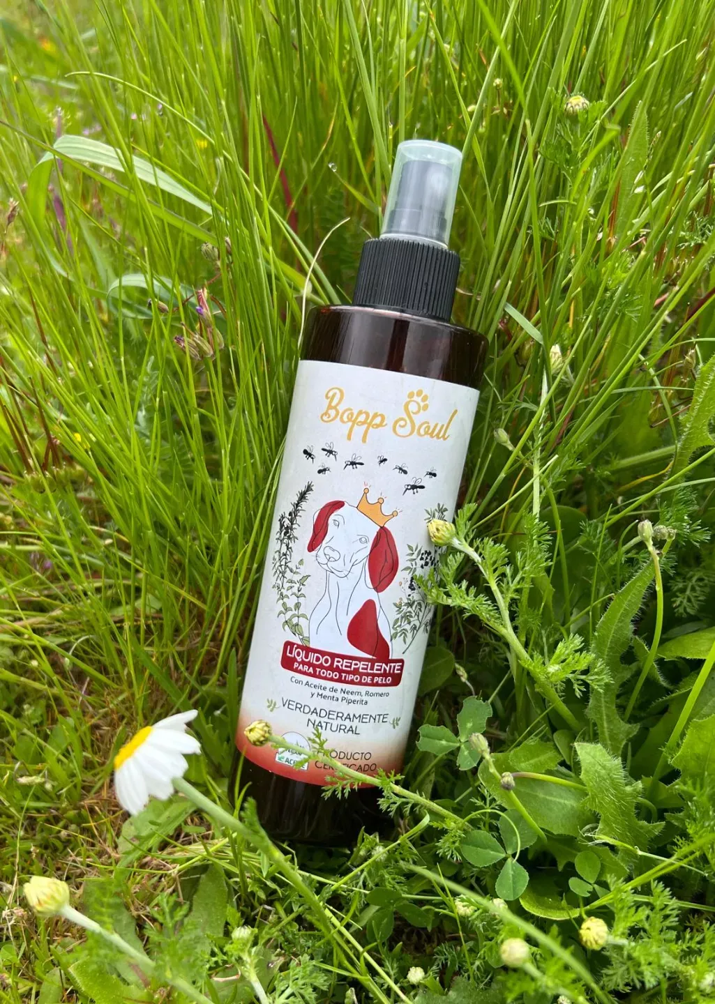 antiparasitario perro